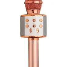 میکروفون اسپیکر مدل WS-858