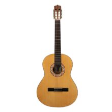 گیتار کلاسیک پارسی مدل M2
